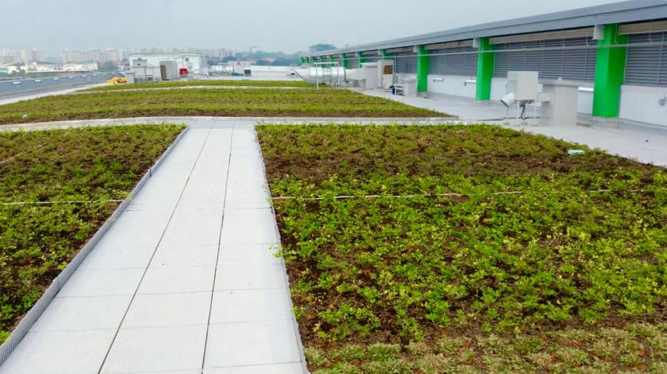 The-green-roof-Wenya-Bus-Depot-Singapore