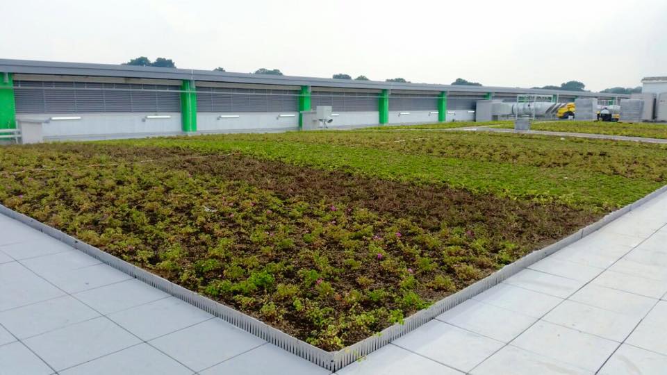 The-green-roof-Wenya-Bus-Depot-Singapore