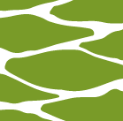 logo-palm-landscape