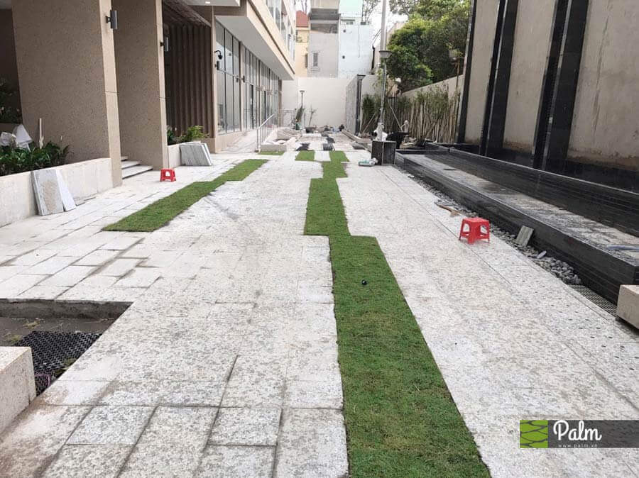 Tấm nhựa trồng cỏ cho bãi đậu xe GrasCell GP40