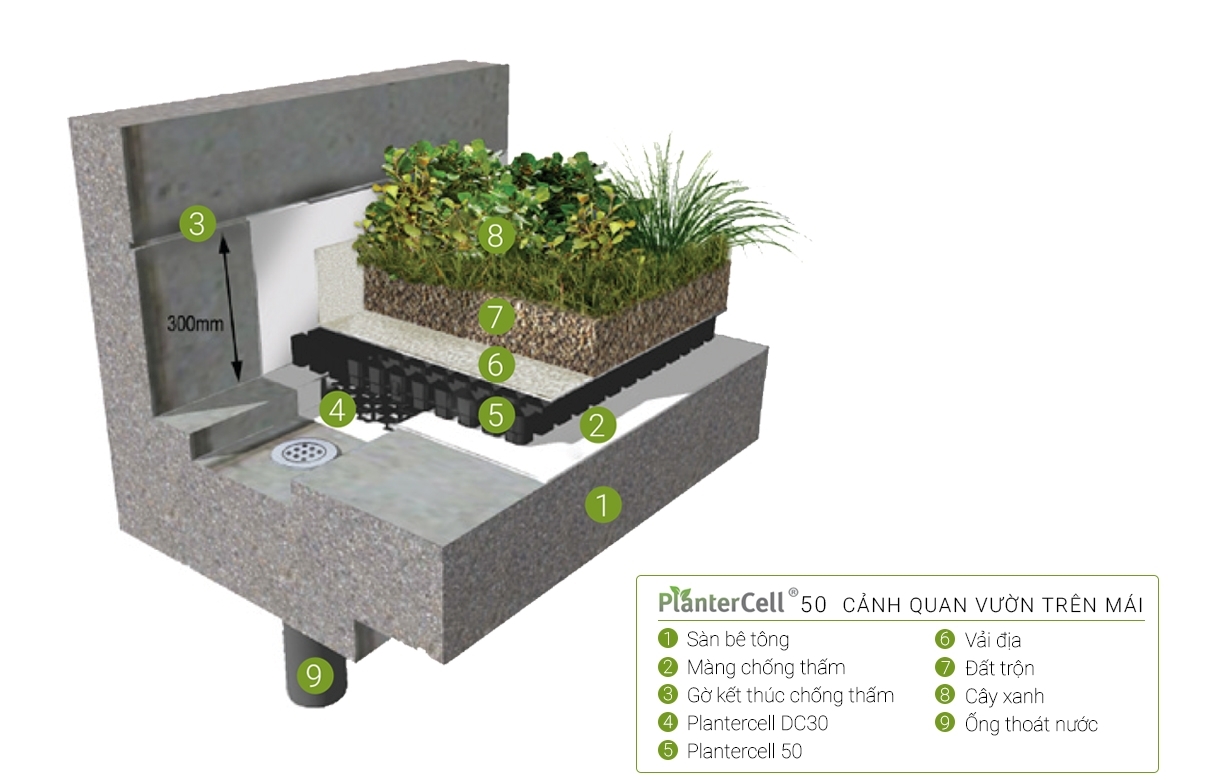 Giải pháp vườn trên mái với vỉ thoát nước Plamtercell 50