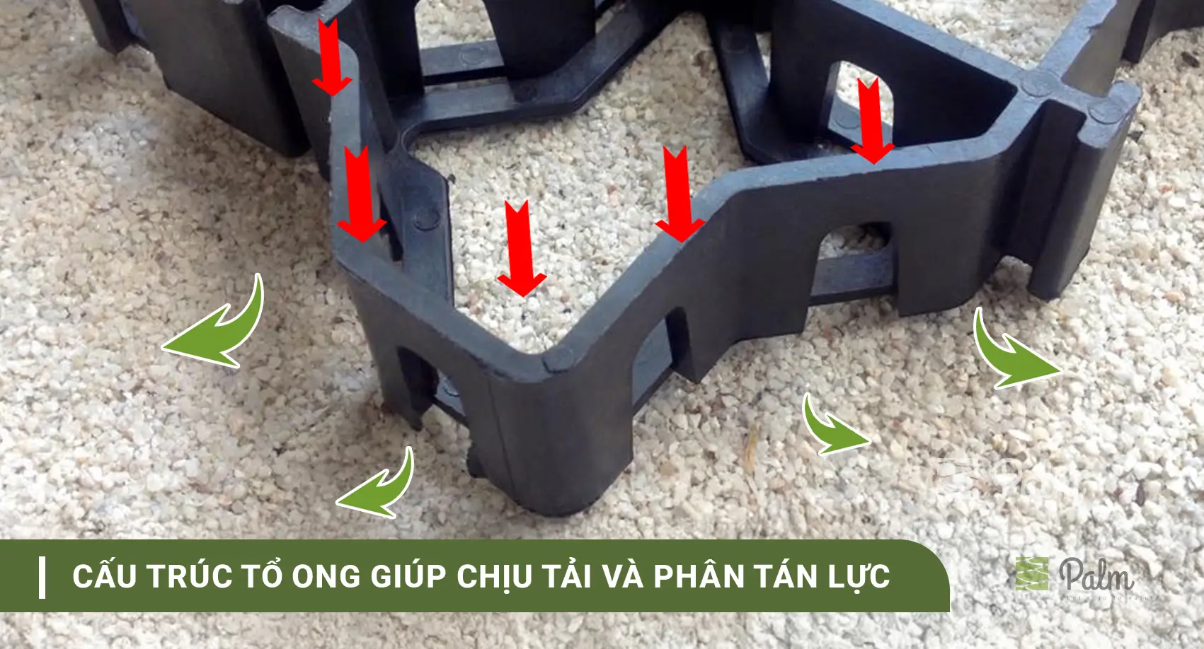 Cơ Chế Của Tấm Trồng Cỏ: Vì Sao Cỏ Vẫn Sống Khi Xe Đi Lên?