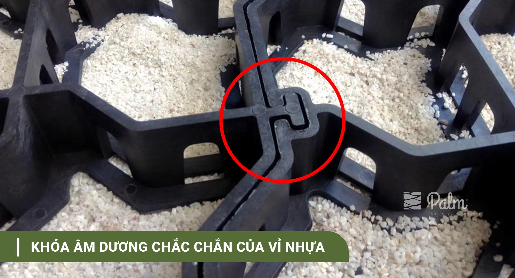 Cơ Chế Của Tấm Trồng Cỏ: Vì Sao Cỏ Vẫn Sống Khi Xe Đi Lên?