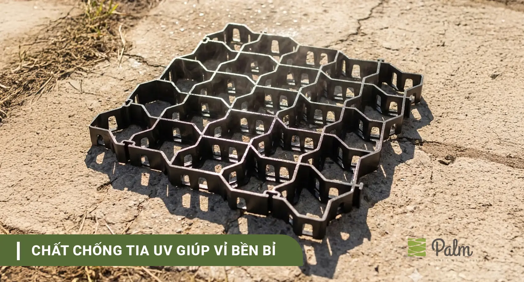 Cơ Chế Của Tấm Trồng Cỏ: Vì Sao Cỏ Vẫn Sống Khi Xe Đi Lên?