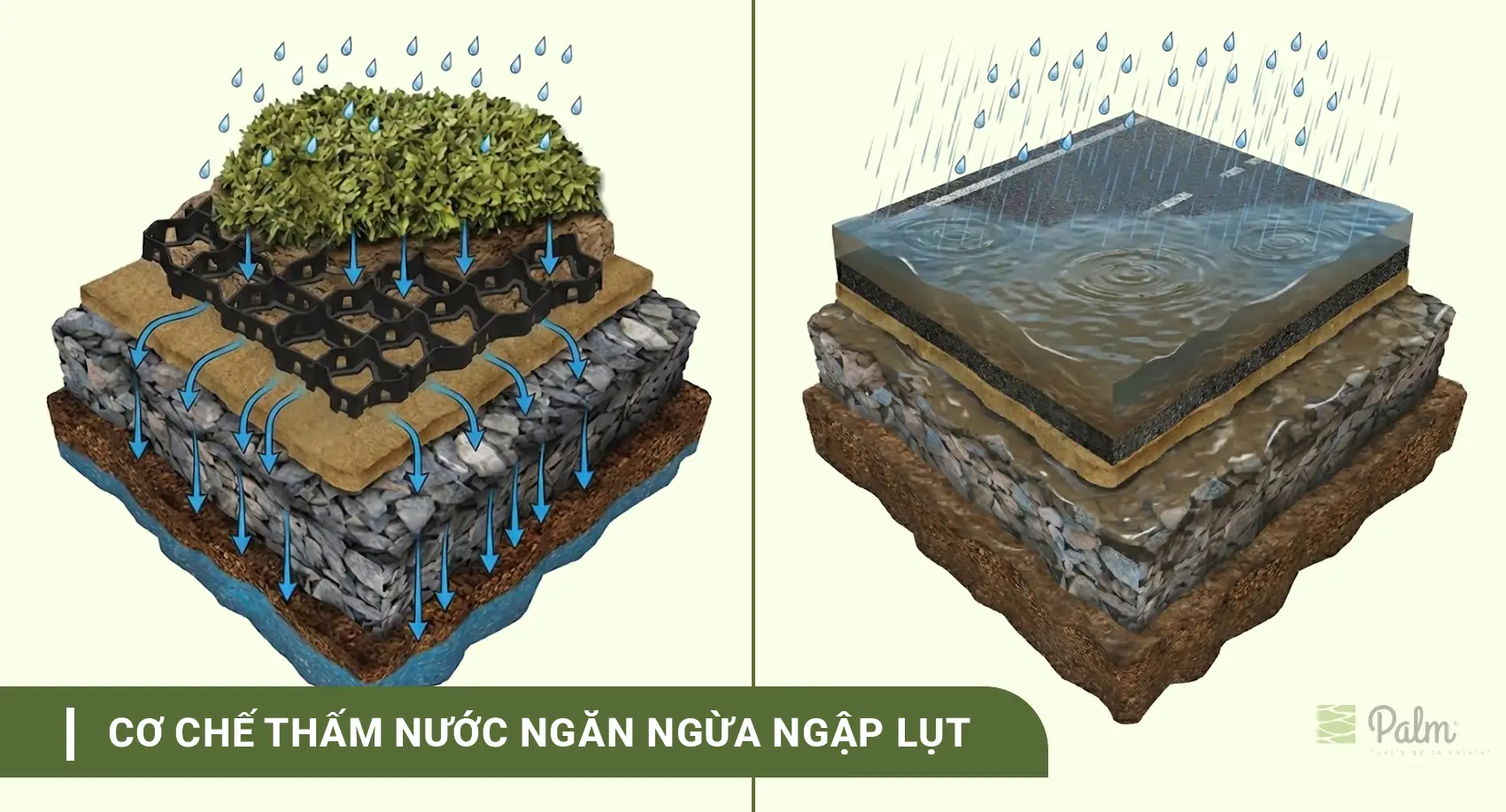 Cơ Chế Của Tấm Trồng Cỏ: Vì Sao Cỏ Vẫn Sống Khi Xe Đi Lên?