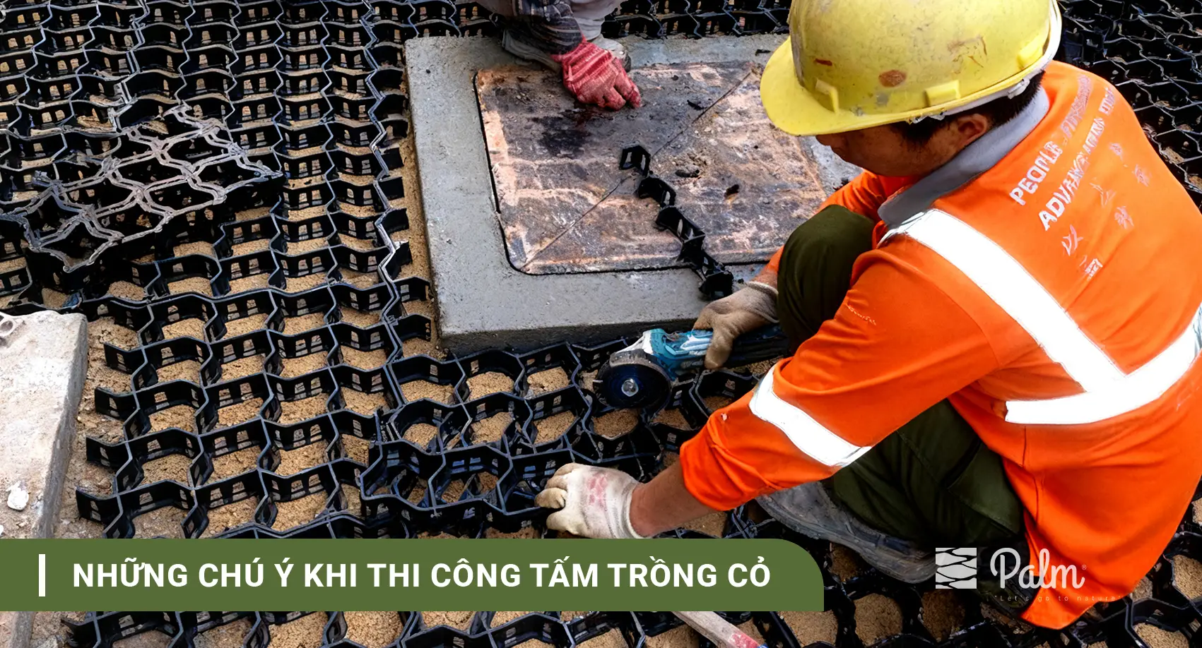 Cơ Chế Của Tấm Trồng Cỏ: Vì Sao Cỏ Vẫn Sống Khi Xe Đi Lên?