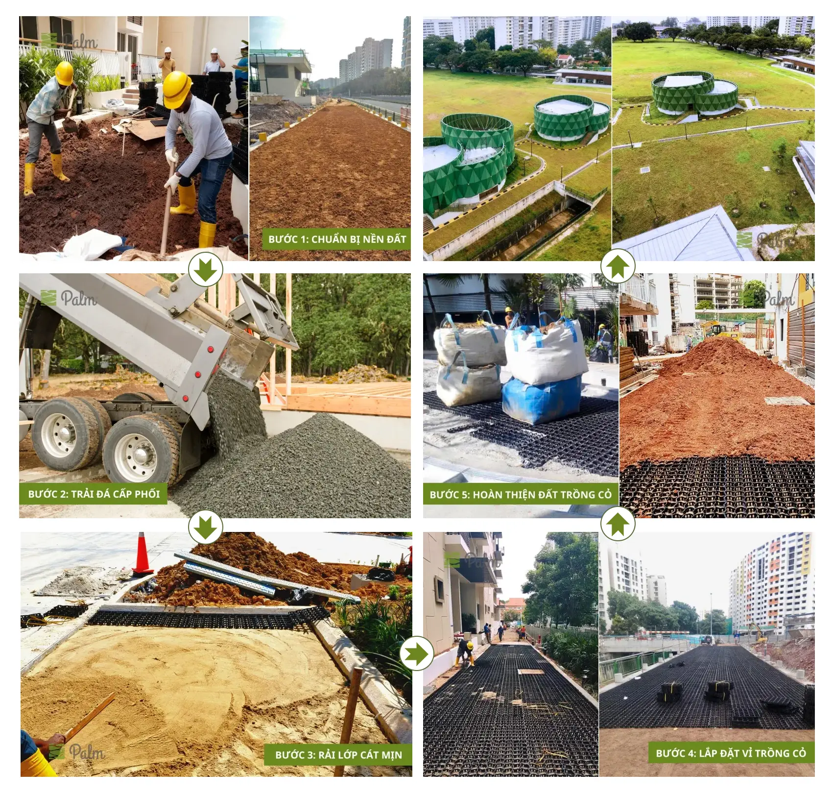 Cơ Chế Của Tấm Trồng Cỏ: Vì Sao Cỏ Vẫn Sống Khi Xe Đi Lên?