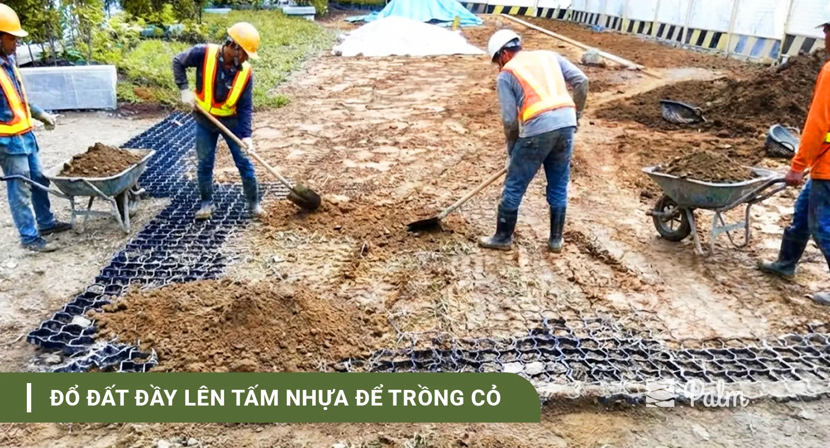 Cơ Chế Của Tấm Trồng Cỏ: Vì Sao Cỏ Vẫn Sống Khi Xe Đi Lên?