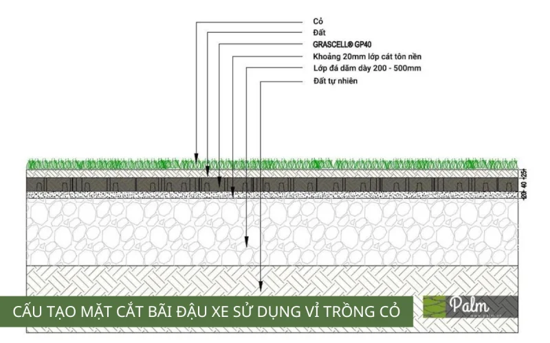 Cơ Chế Của Tấm Trồng Cỏ: Vì Sao Cỏ Vẫn Sống Khi Xe Đi Lên?