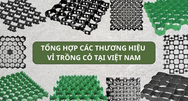 Tổng Hợp Các Thương Hiệu Vỉ Trồng Cỏ Tại Việt Nam 2026