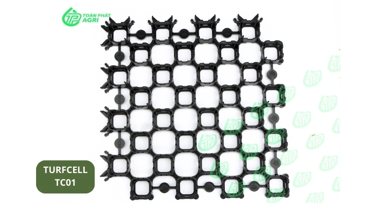 Tổng Hợp Các Thương Hiệu Vỉ Trồng Cỏ Tại Việt Nam 2026