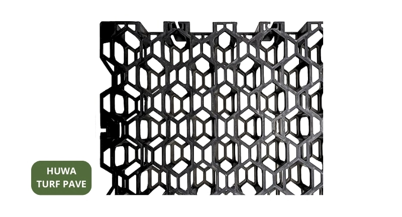 Tổng Hợp Các Thương Hiệu Vỉ Trồng Cỏ Tại Việt Nam 2026