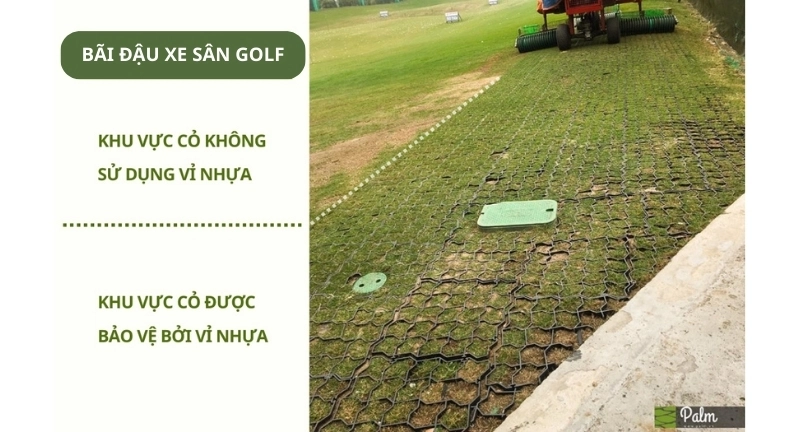 Tổng Hợp Các Thương Hiệu Vỉ Trồng Cỏ Tại Việt Nam 2026