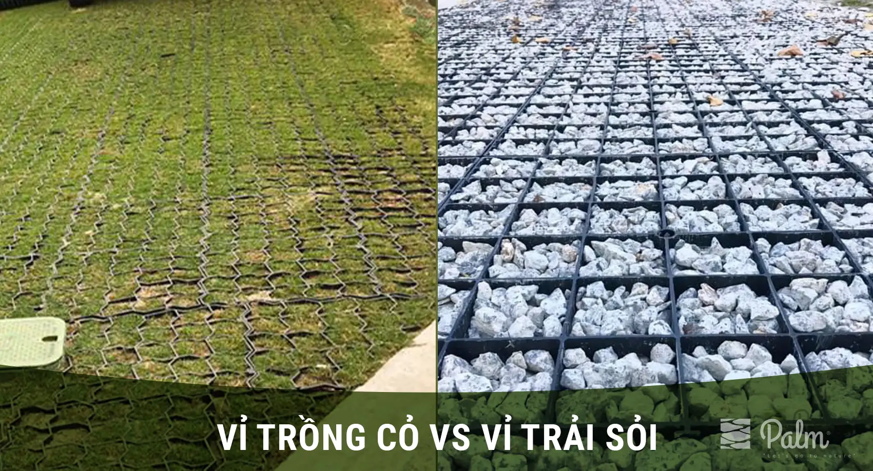 Nên Chọn Vỉ Trồng Cỏ Hay Vỉ Trải Sỏi? So Sánh Sự Khác Biệt