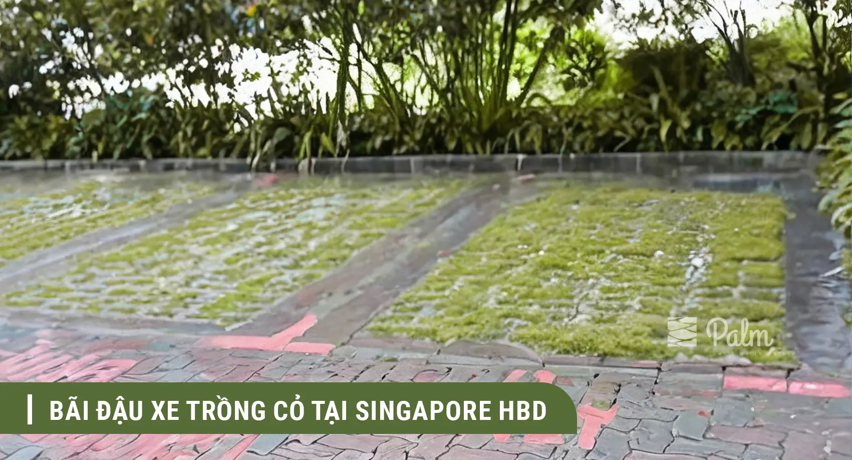 Nên Chọn Vỉ Trồng Cỏ Hay Vỉ Trải Sỏi? So Sánh Sự Khác Biệt