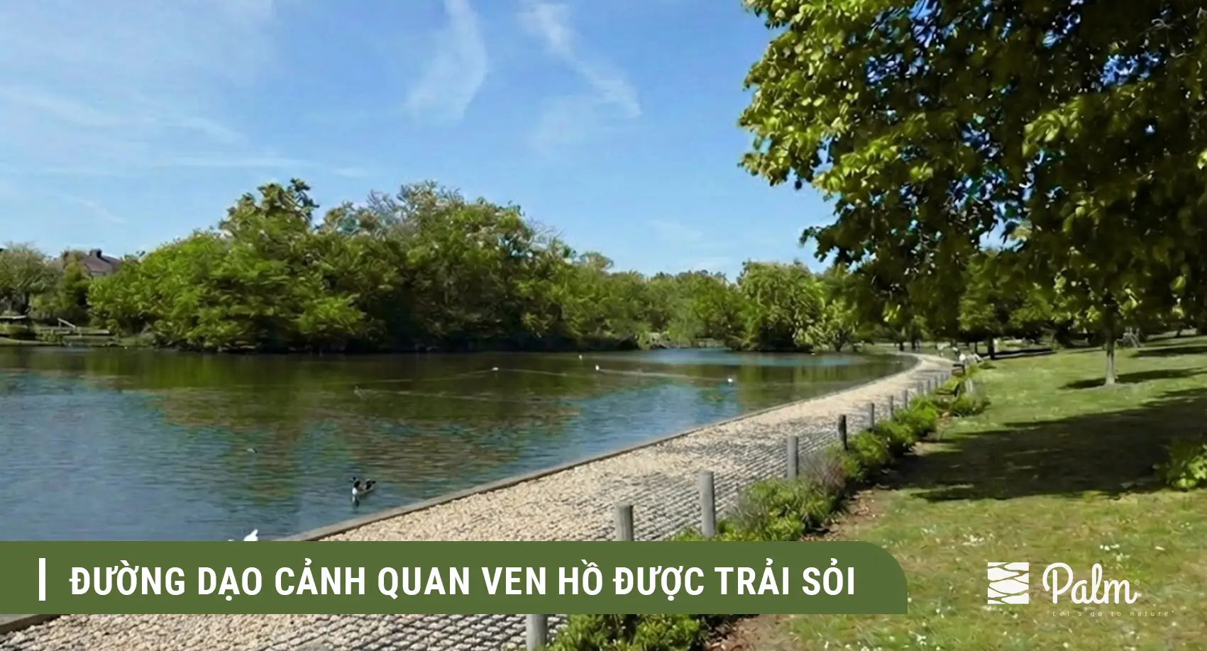 Nên Chọn Vỉ Trồng Cỏ Hay Vỉ Trải Sỏi? So Sánh Sự Khác Biệt