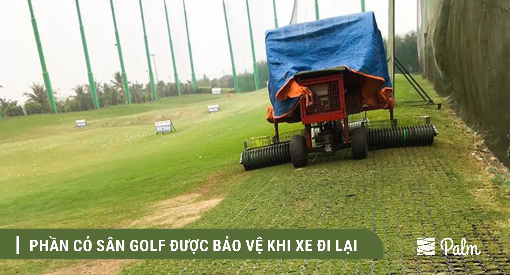 Nên Chọn Vỉ Trồng Cỏ Hay Vỉ Trải Sỏi? So Sánh Sự Khác Biệt