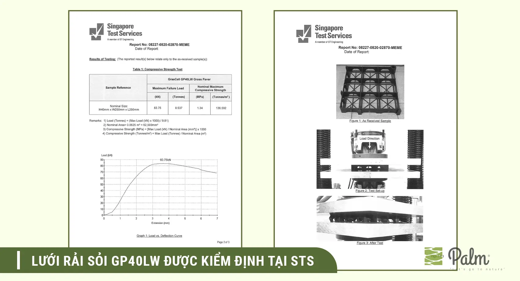 Nên Chọn Vỉ Trồng Cỏ Hay Vỉ Trải Sỏi? So Sánh Sự Khác Biệt