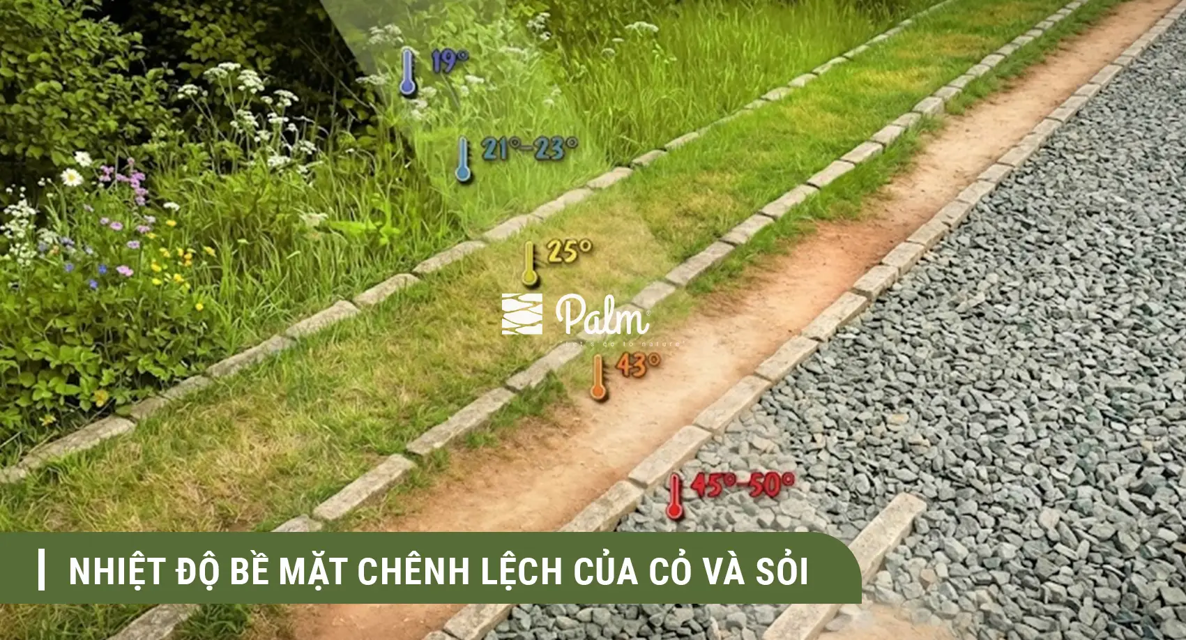 Nên Chọn Vỉ Trồng Cỏ Hay Vỉ Trải Sỏi? So Sánh Sự Khác Biệt