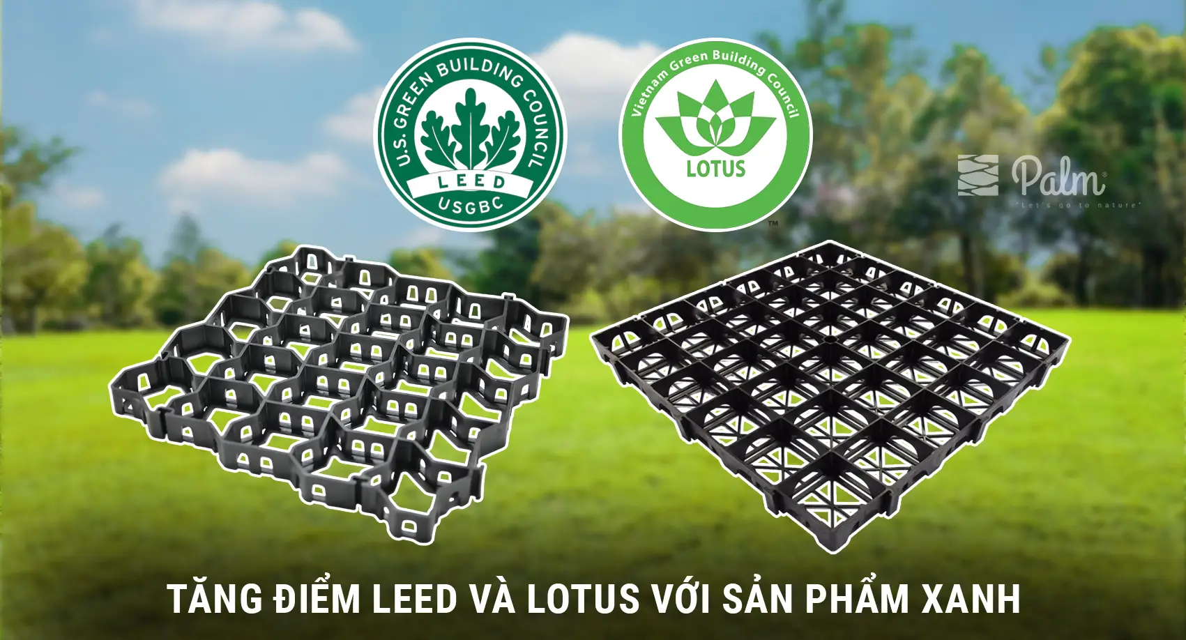 Nên Chọn Vỉ Trồng Cỏ Hay Vỉ Trải Sỏi? So Sánh Sự Khác Biệt