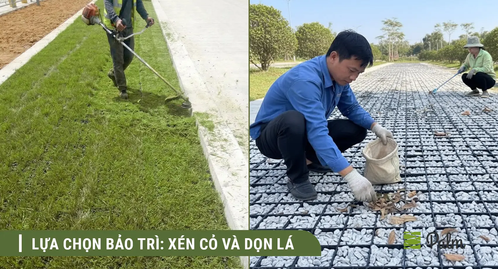 Nên Chọn Vỉ Trồng Cỏ Hay Vỉ Trải Sỏi? So Sánh Sự Khác Biệt