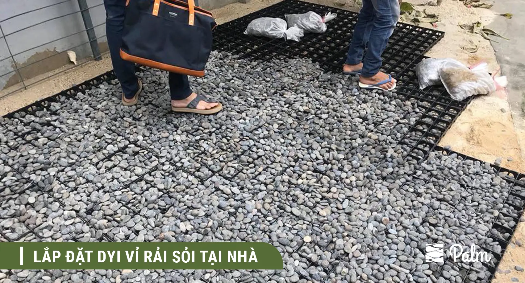 Nên Chọn Vỉ Trồng Cỏ Hay Vỉ Trải S��i? So Sánh Sự Khác Biệt