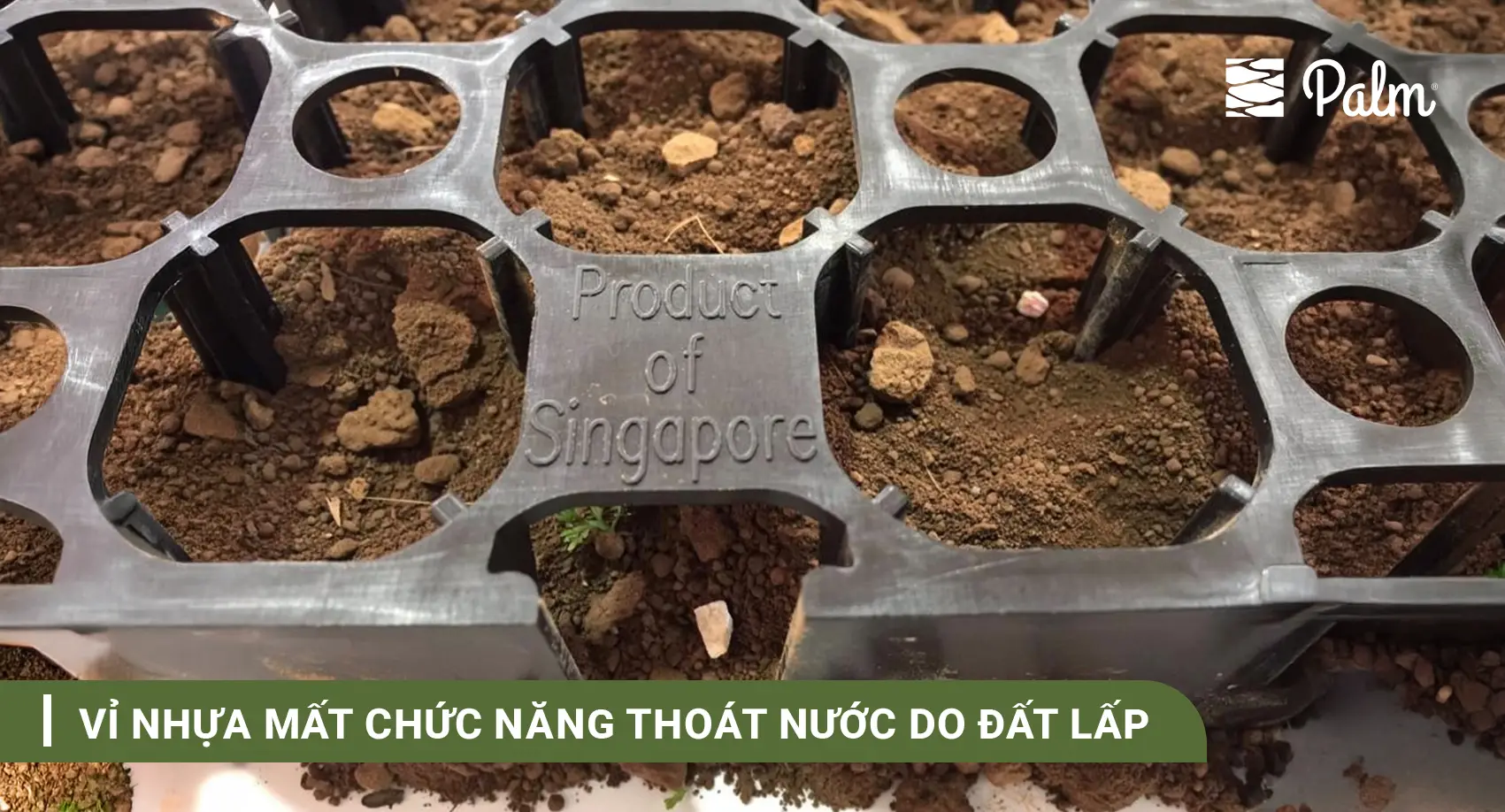 Tại Sao Vỉ Thoát Nước Luôn Phải Đi Kèm Vải Địa Kỹ Thuật?