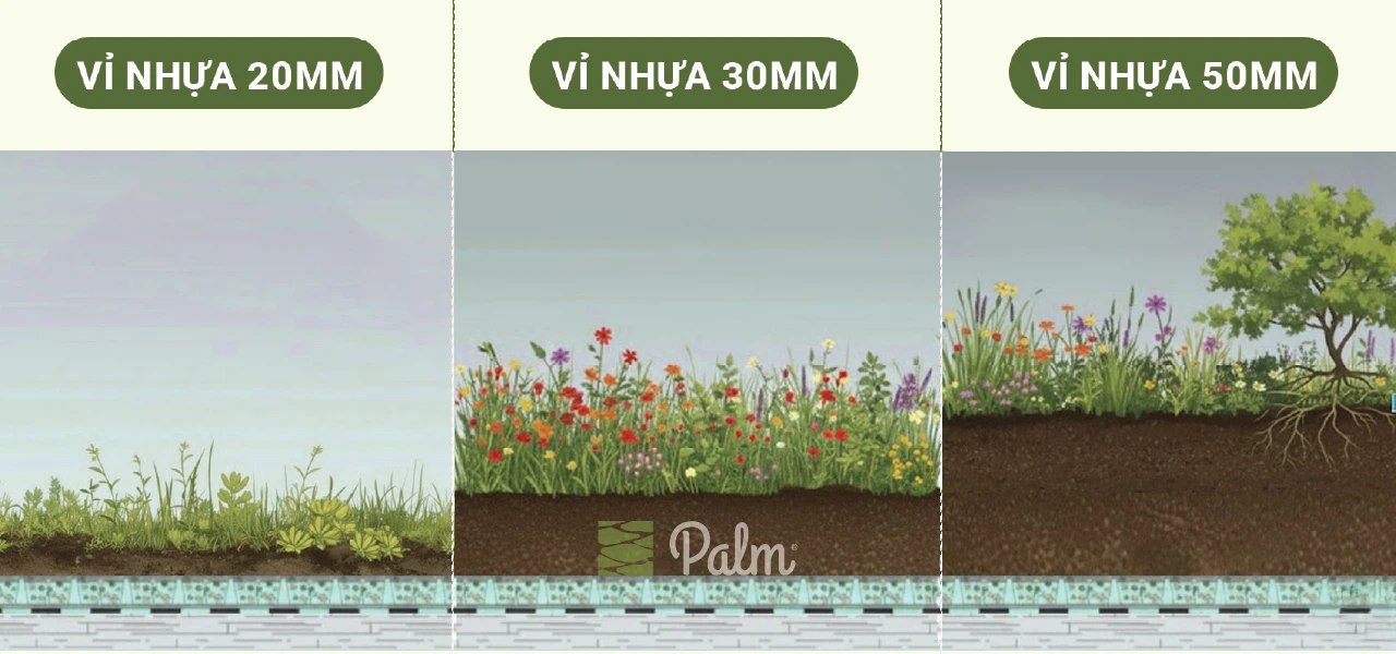 Vỉ Thoát Nước Loại Nào Tốt? Cách Chọn Chuẩn Cho Công Trình