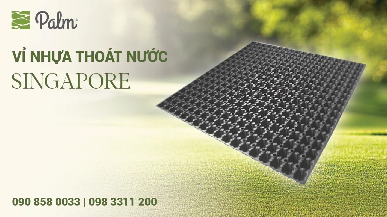 Vỉ Thoát Nước Loại Nào Tốt? Cách Chọn Chuẩn Cho Công Trình