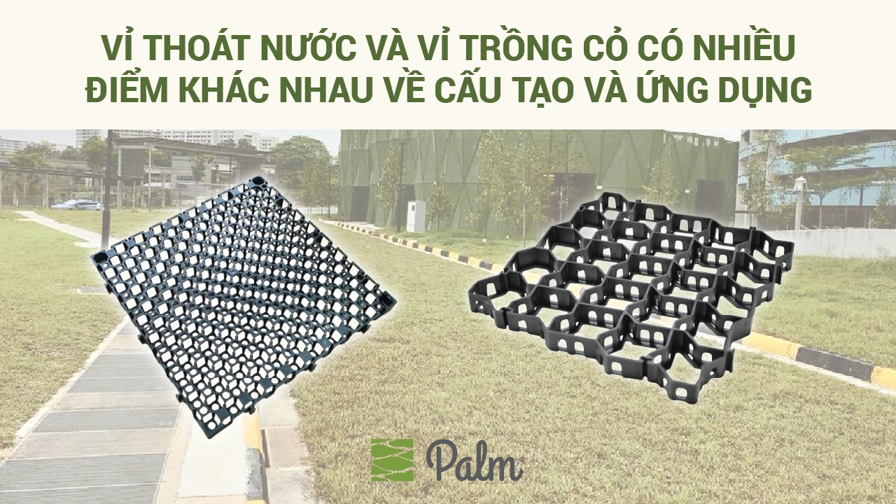 Vỉ Thoát Nước Loại Nào Tốt? Cách Chọn Chuẩn Cho Công Trình