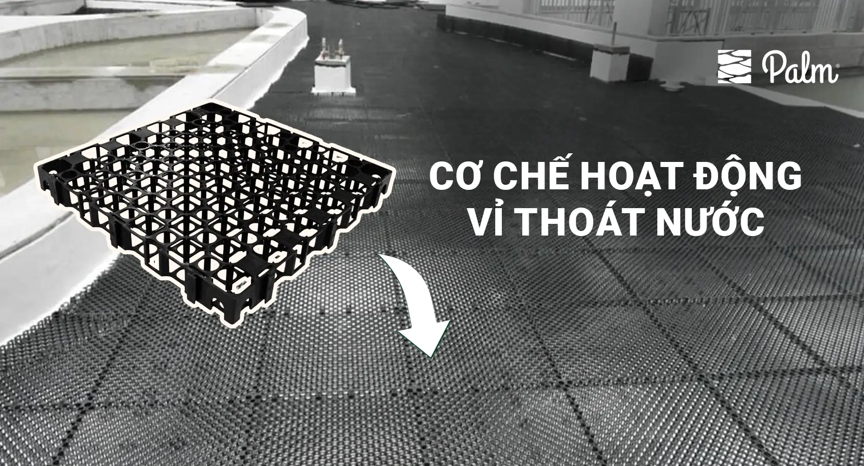 Vỉ Thoát Nước Hoạt Động Ra Sao? Chống Thấm Ngập Như Nào