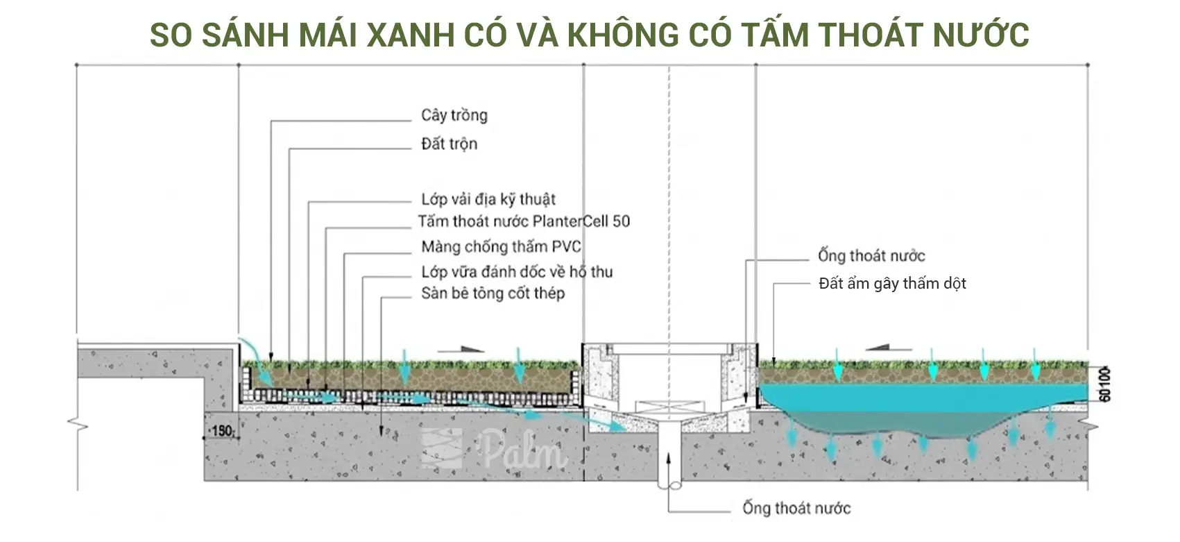 Vỉ Thoát Nước Hoạt Động Ra Sao? Chống Thấm Ngập Như Nào