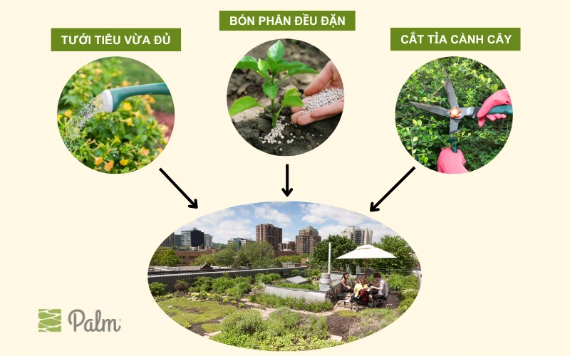 Hướng Dẫn A-Z Thi Công Vườn Trên Mái Đạt Tiêu Chuẩn Singapore