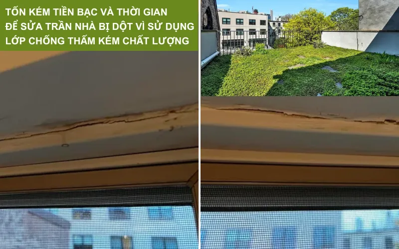 Hướng Dẫn A-Z Thi Công Vườn Trên Mái Đạt Tiêu Chuẩn Singapore