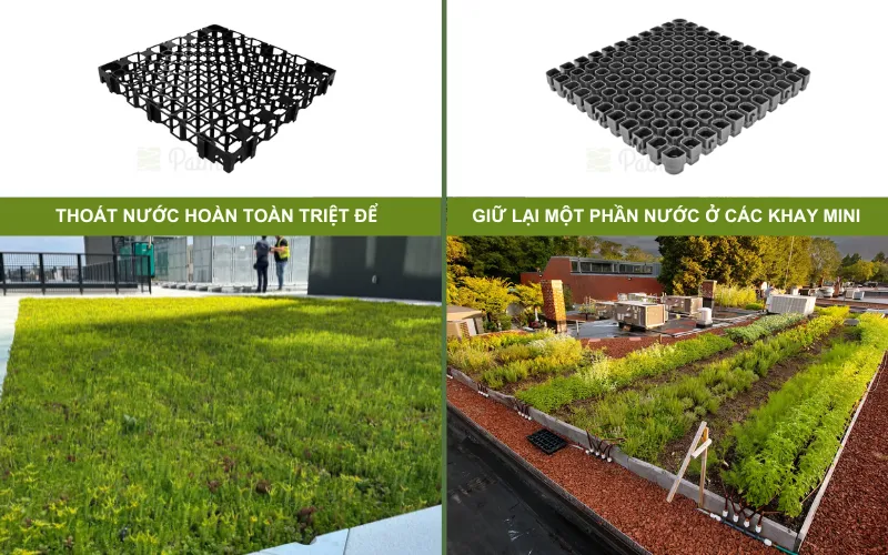 Hướng Dẫn A-Z Thi Công Vườn Trên Mái Đạt Tiêu Chuẩn Singapore