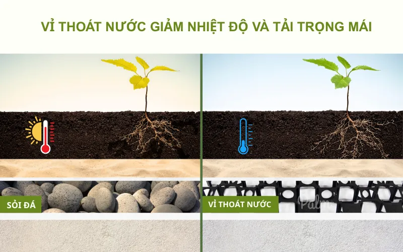 Hướng Dẫn A-Z Thi Công Vườn Trên Mái Đạt Tiêu Chuẩn Singapore