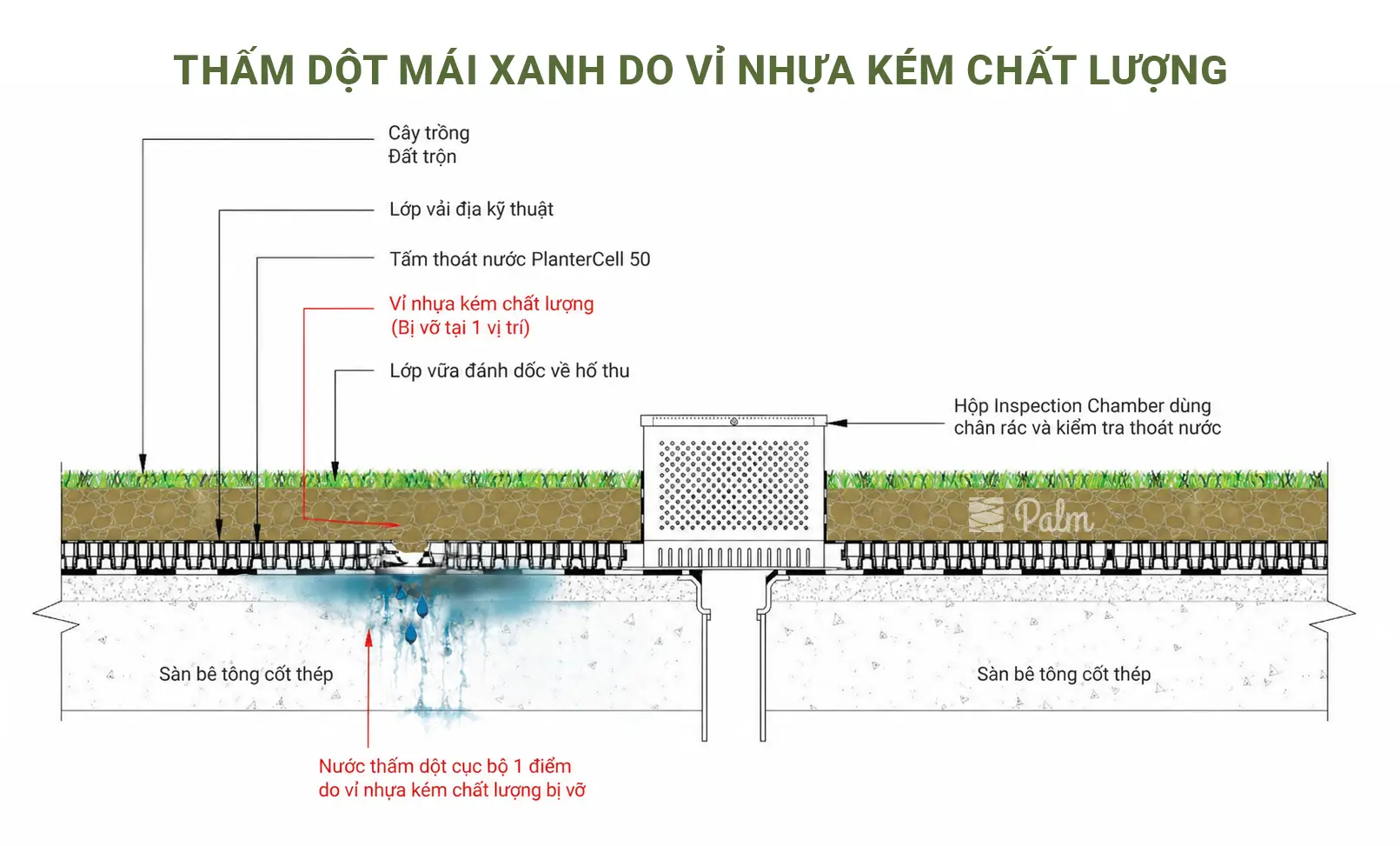 Vỉ Thoát Nước Giá Rẻ: Tiết Kiệm Hay Rủi Ro?