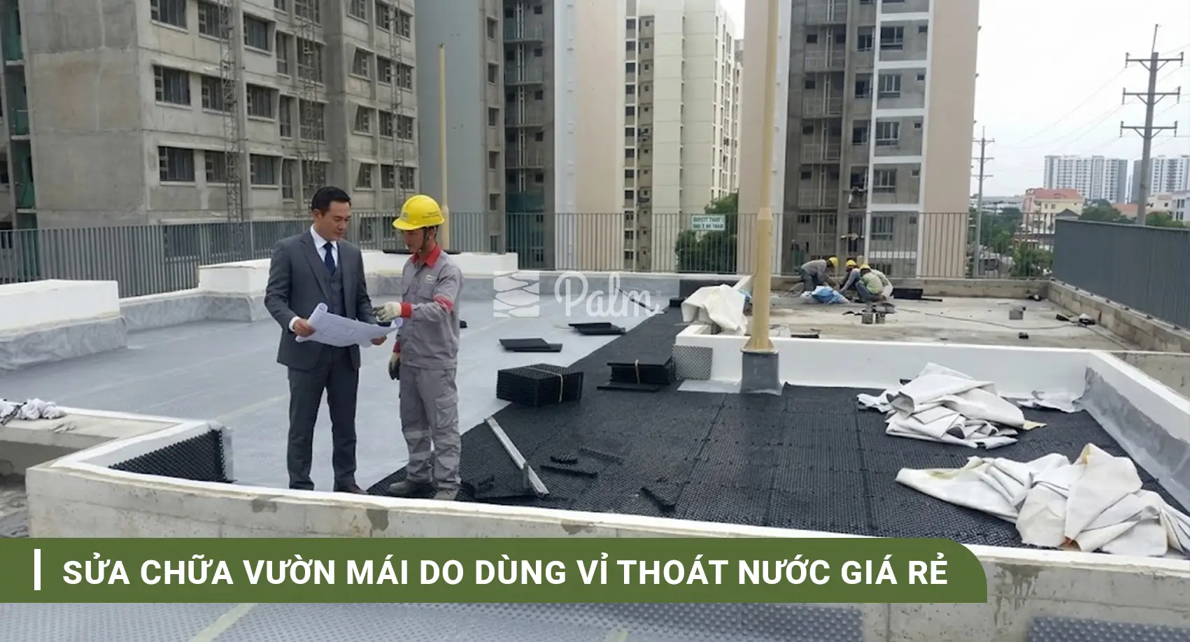 Vỉ Thoát Nước Giá Rẻ: Tiết Kiệm Hay Rủi Ro?