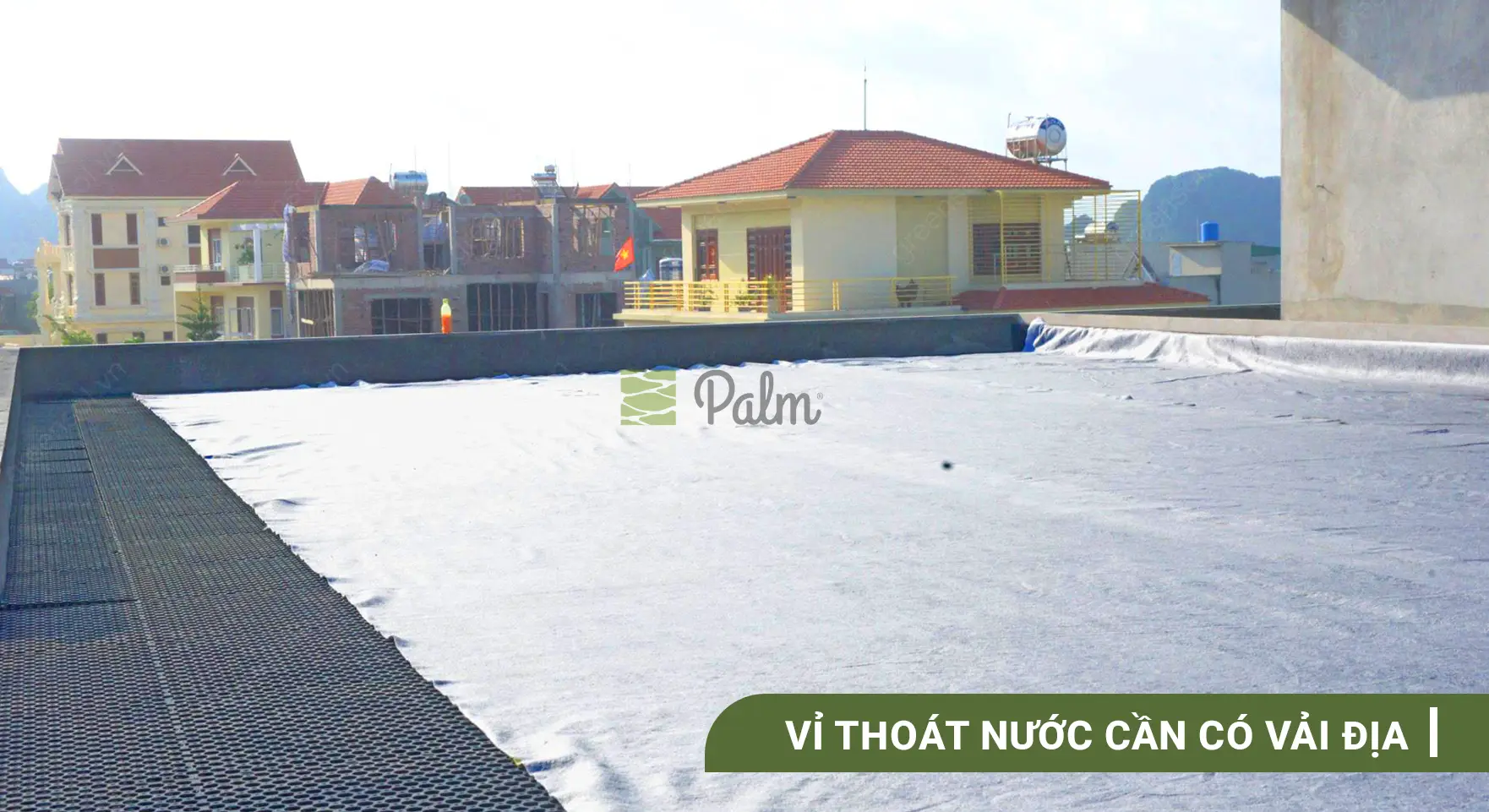 Vỉ Thoát Nước Giá Rẻ: Tiết Kiệm Hay Rủi Ro?