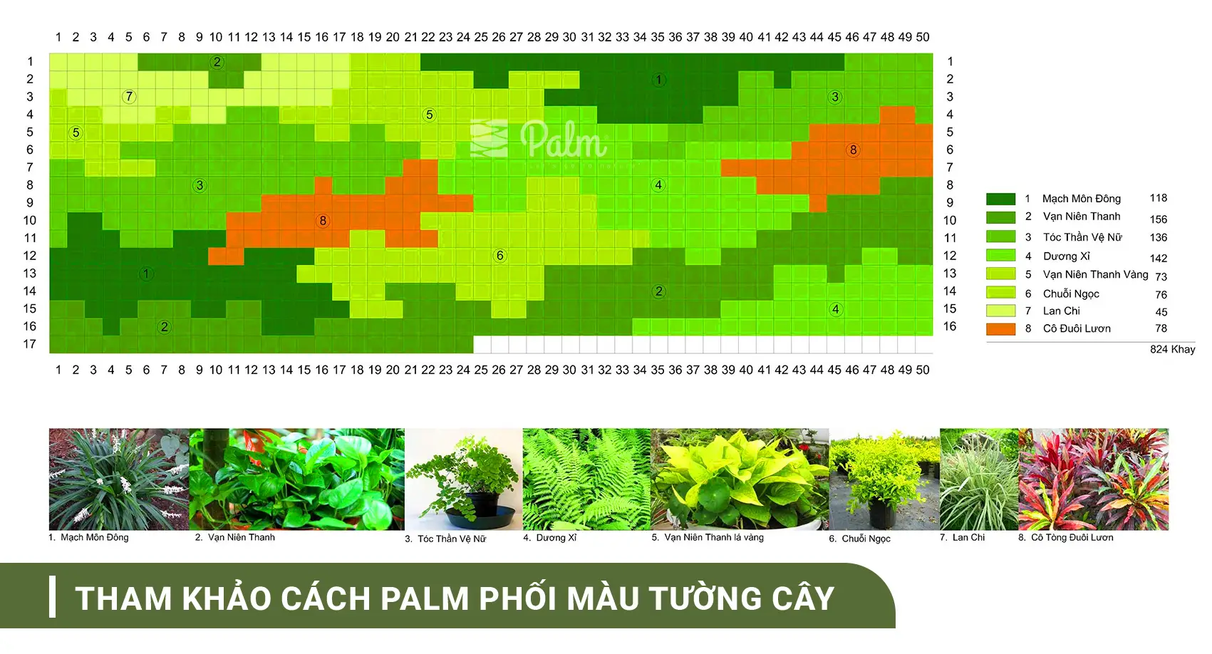 Cách chọn cây phối màu tường xanh