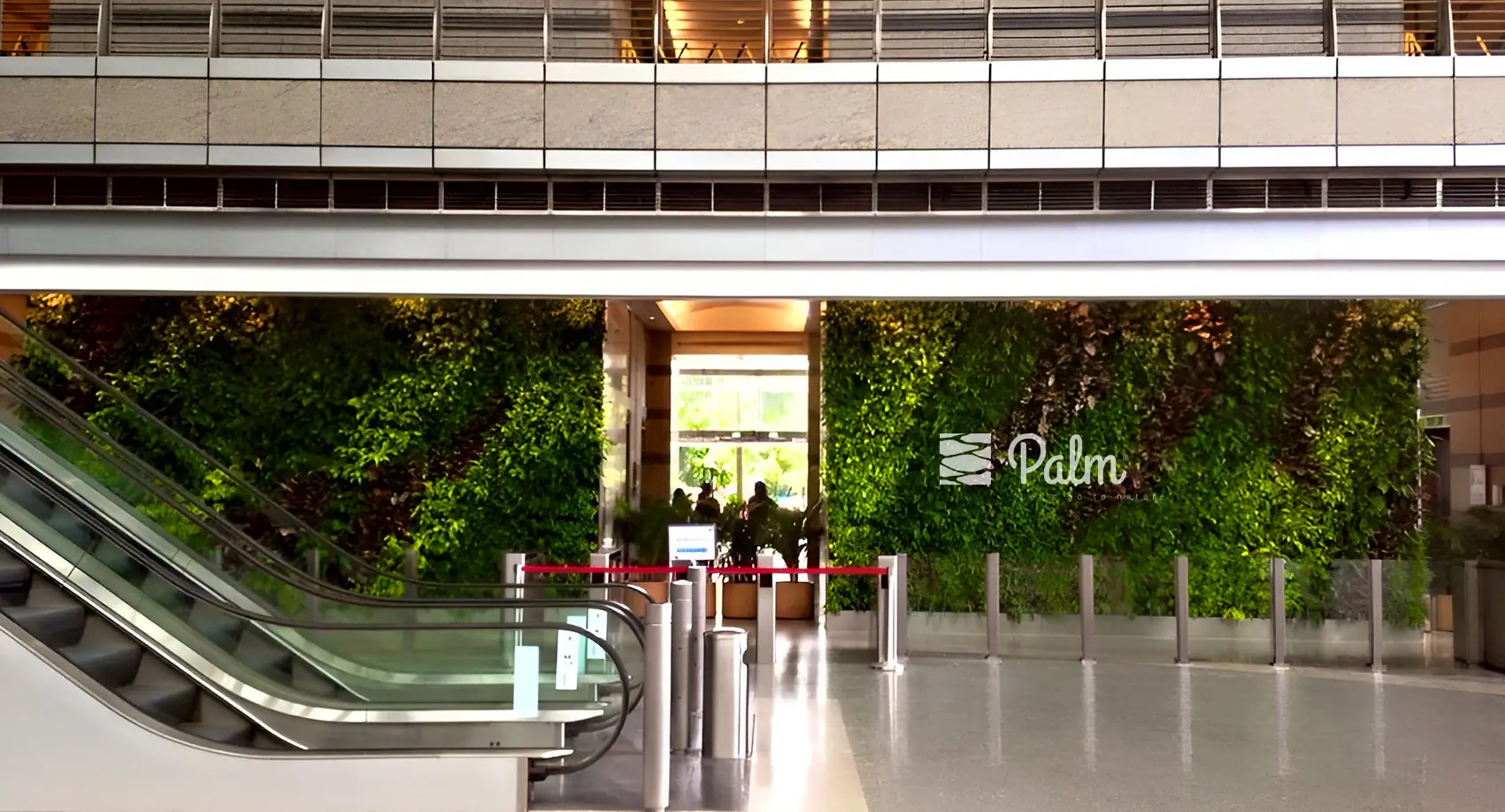 Tổng Hợp 99+ Mẫu Thiết Kế Tường Cây Đẹp Cho Từng Loại Công Trình