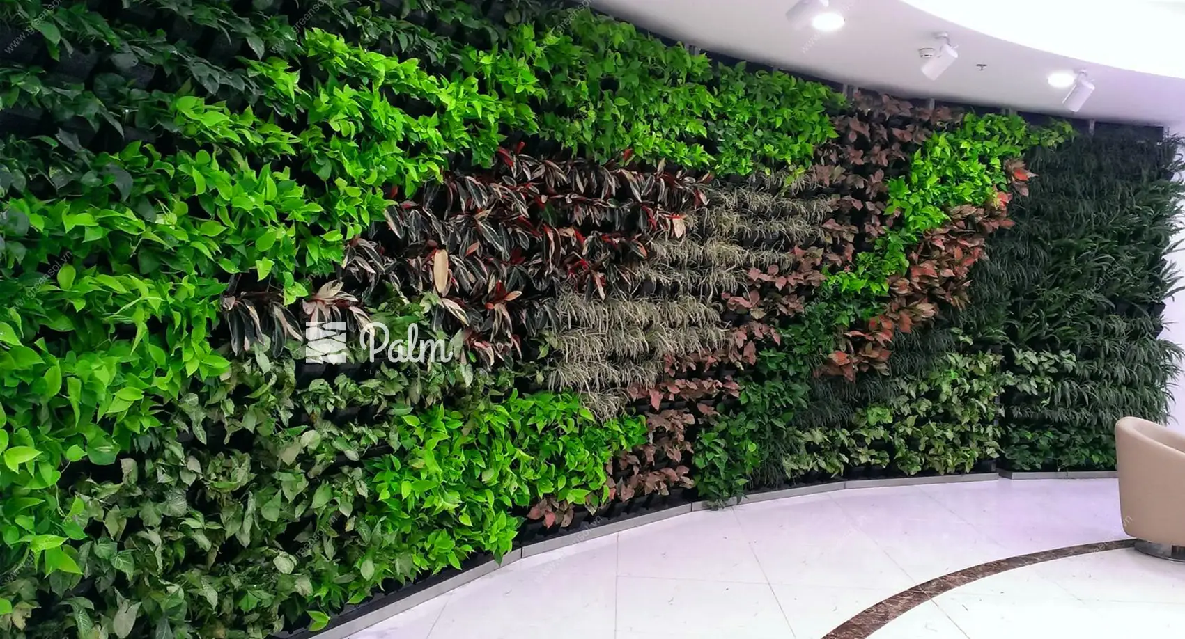 Tổng Hợp 99+ Mẫu Thiết Kế Tường Cây Đẹp Cho Từng Loại Công Trình