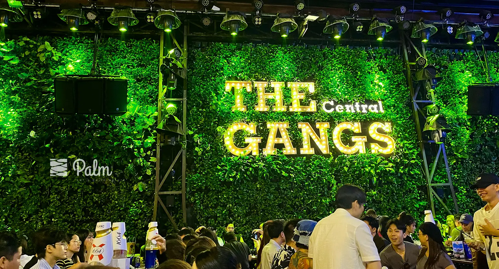 Tổng Hợp 99+ Mẫu Thiết Kế Tường Cây Đẹp Cho Từng Loại Công Trình