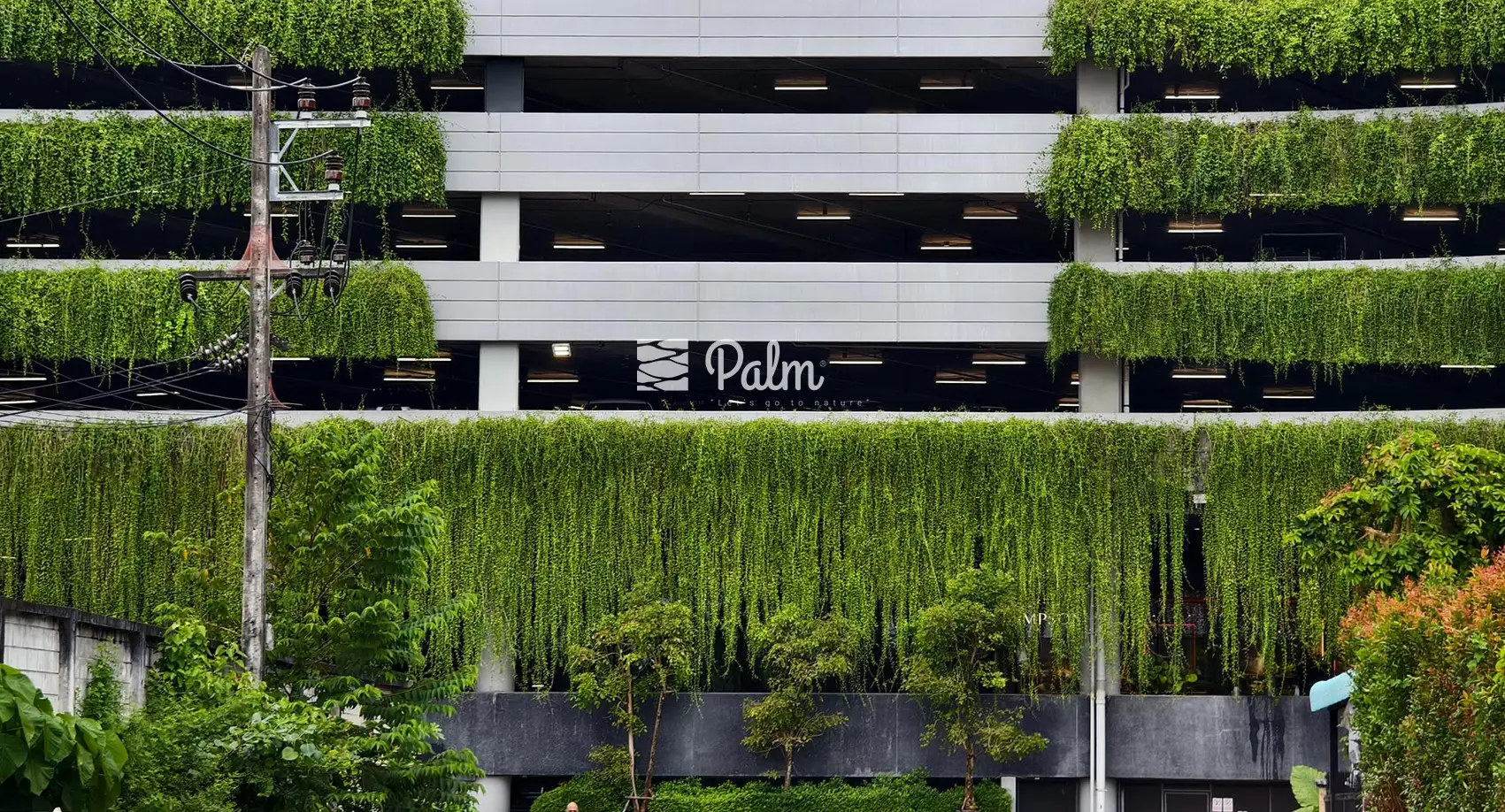 Tổng Hợp 99+ Mẫu Thiết Kế Tường Cây Đẹp Cho Từng Loại Công Trình