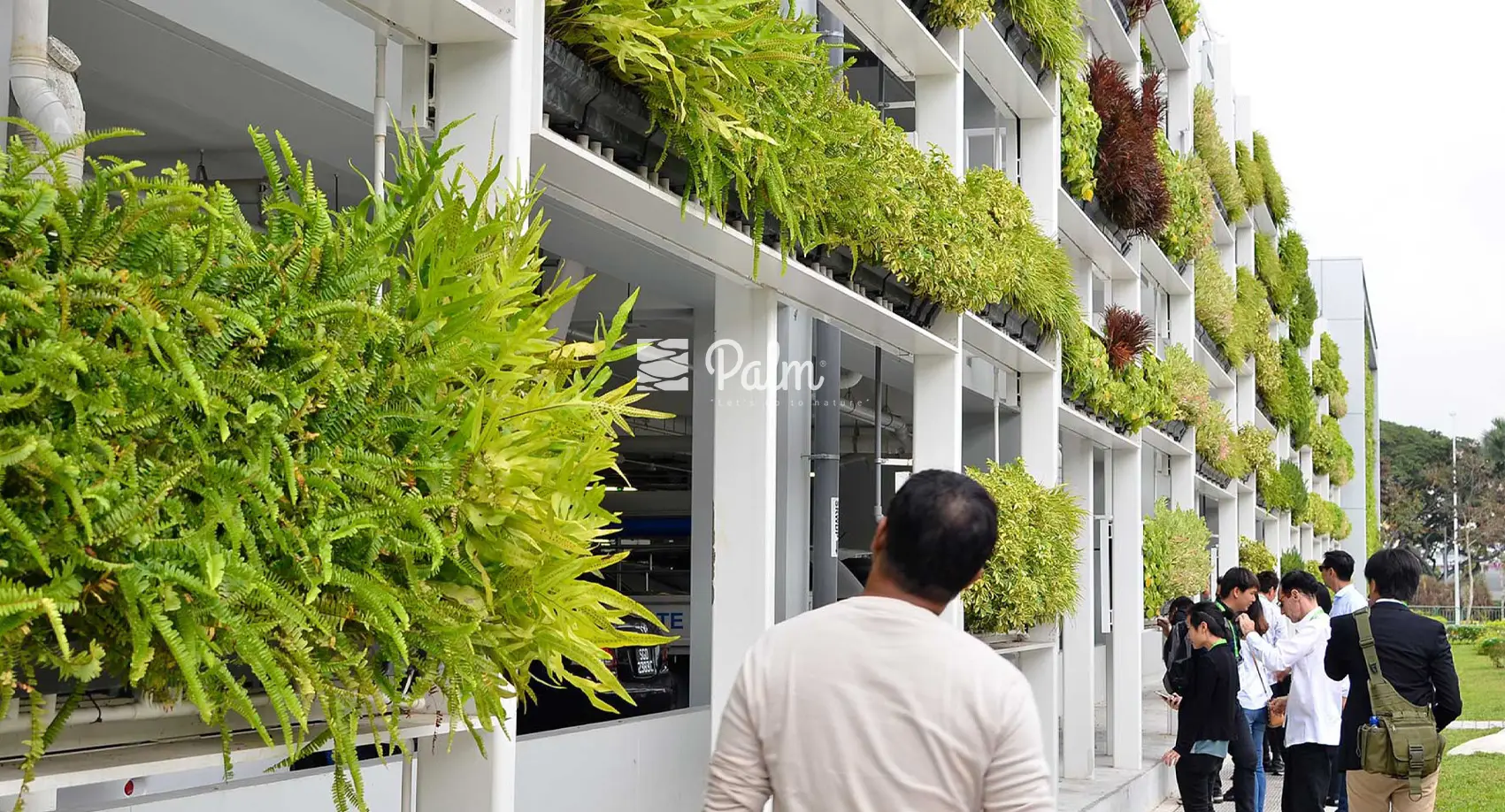 Tổng Hợp 99+ Mẫu Thiết Kế Tường Cây Đẹp Cho Từng Loại Công Trình