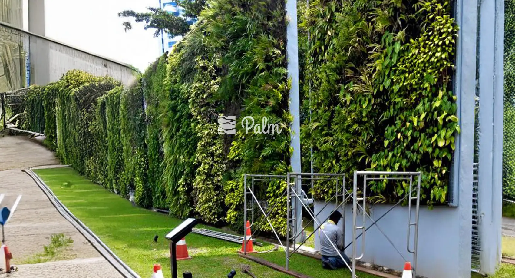 Tổng Hợp 99+ Mẫu Thiết Kế Tường Cây Đẹp Cho Từng Loại Công Trình