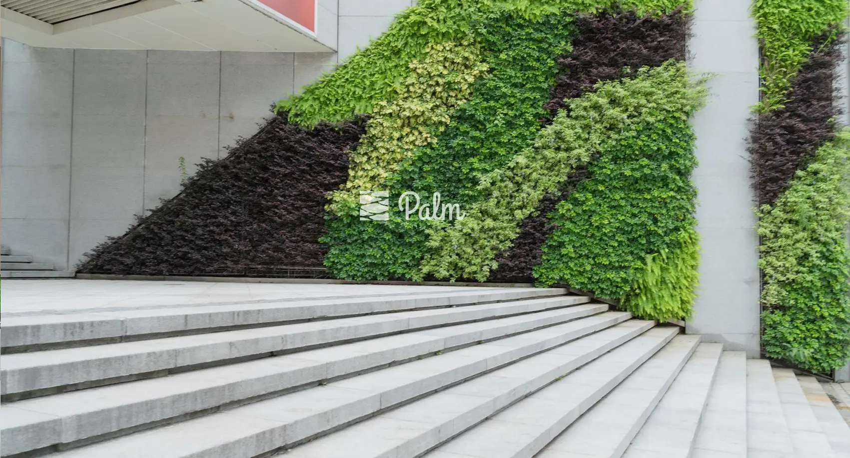 Tổng Hợp 99+ Mẫu Thiết Kế Tường Cây Đẹp Cho Từng Loại Công Trình