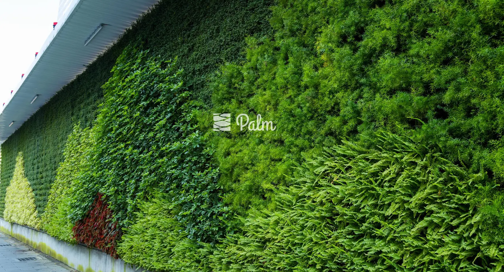 Tổng Hợp 99+ Mẫu Thiết Kế Tường Cây Đẹp Cho Từng Loại Công Trình