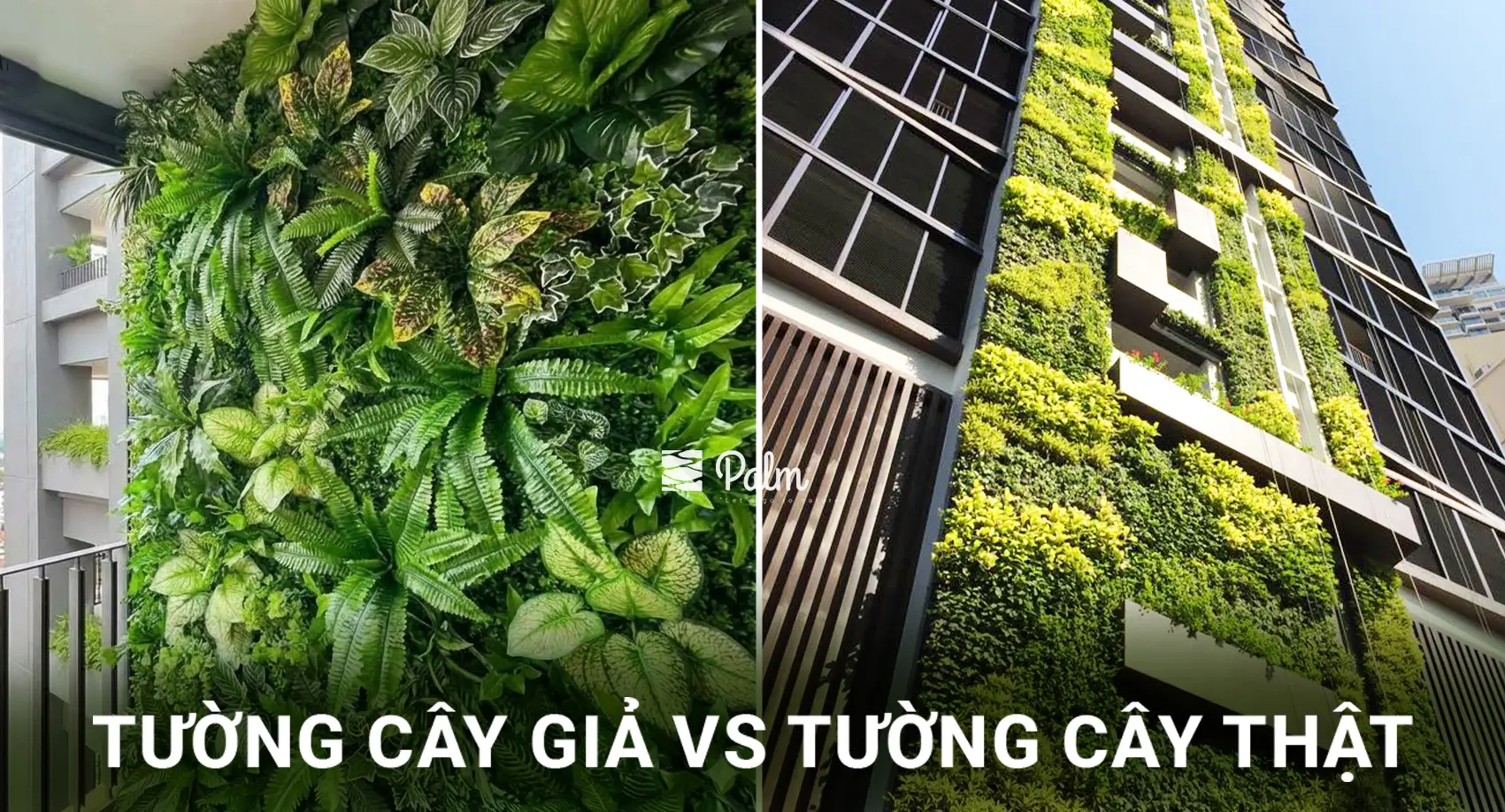Tường Cây Giả Hay Thật? Bí Quyết Chọn Theo Từng Không Gian