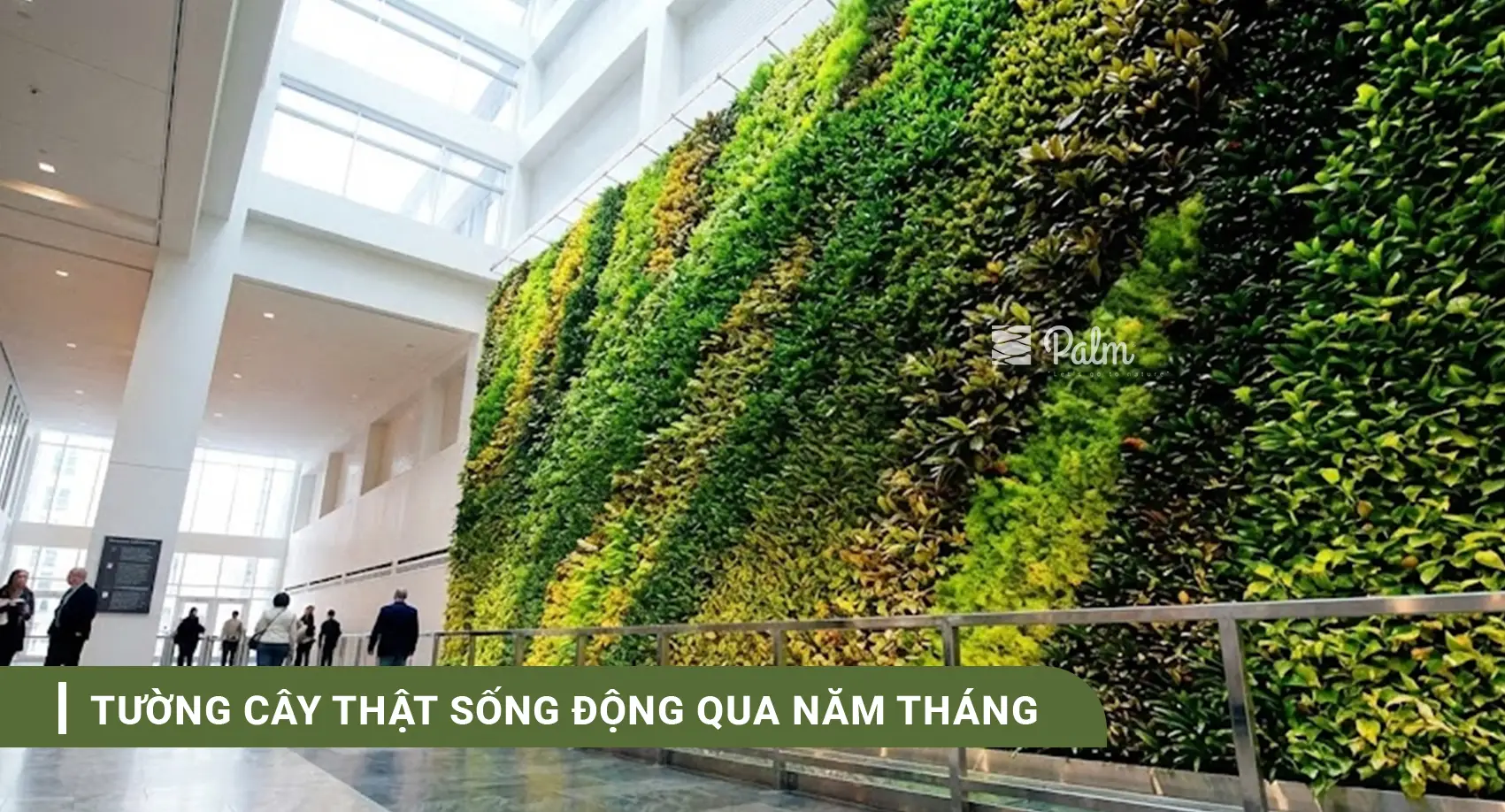 Tường Cây Giả Hay Thật? Bí Quyết Chọn Theo Từng Không Gian